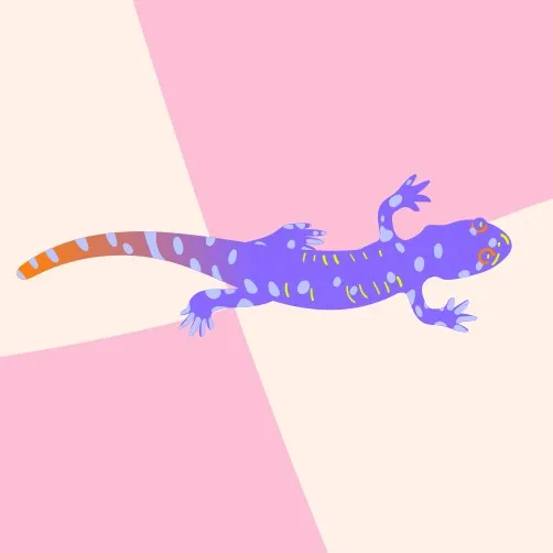 Salamandra_ASMR