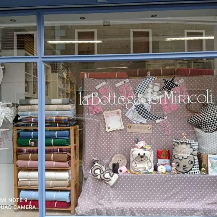 la bottega dei miracoli