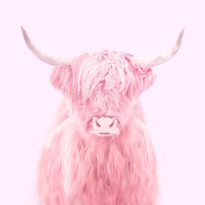 Pink.Spain