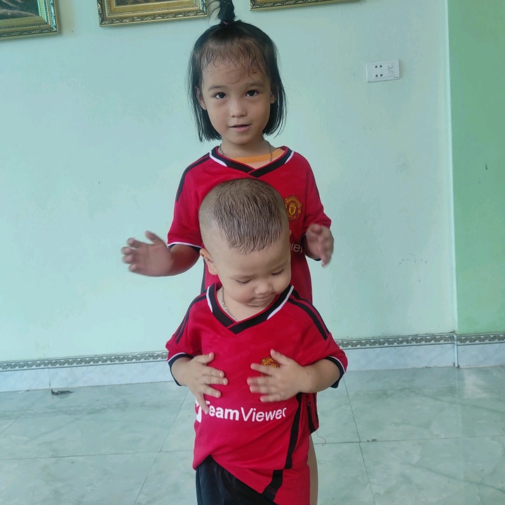 laphovan