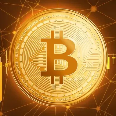 Crypto Daily
