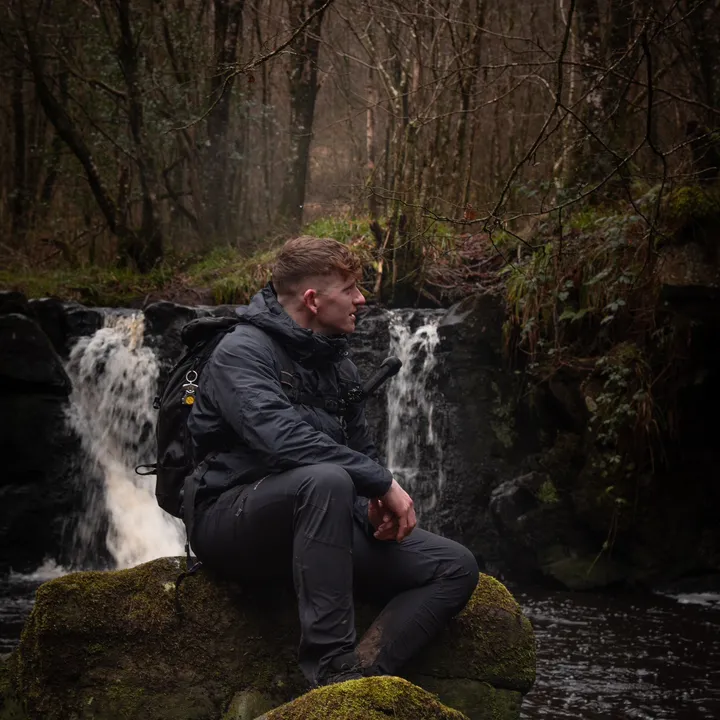 Discovering Dann