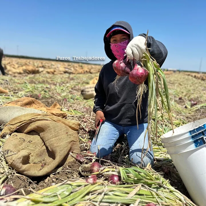Puros Trabajadores