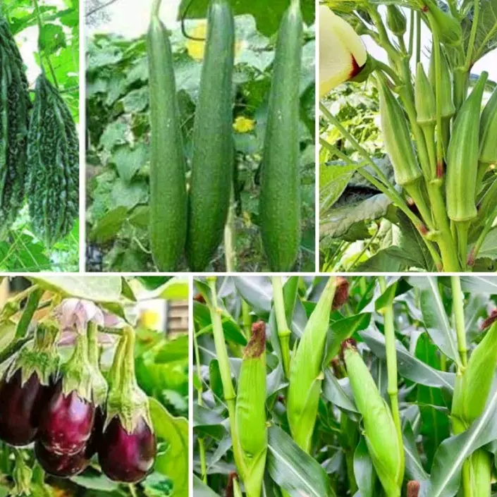 Nature N Agriculture