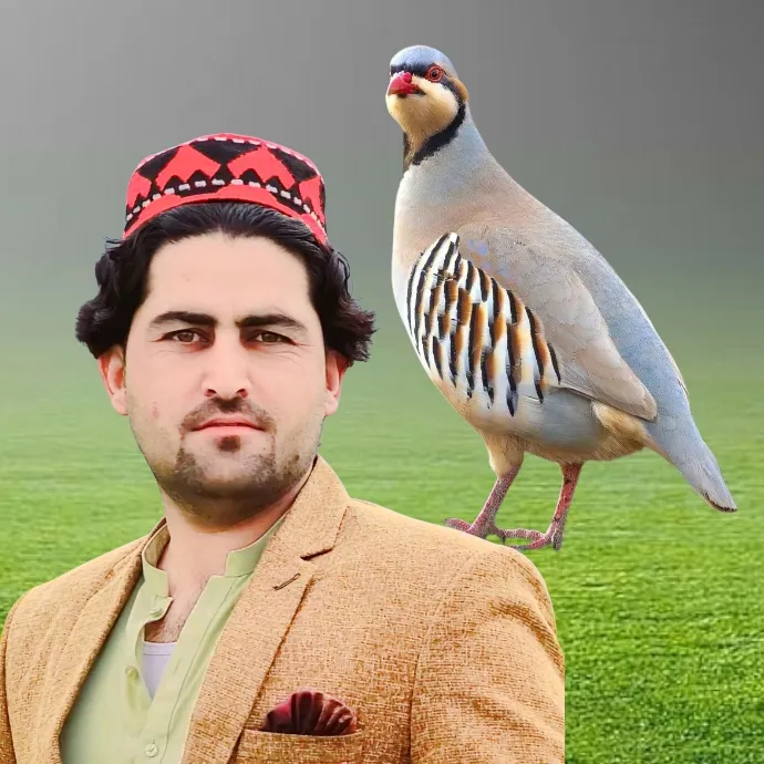 🐤RA🦅🪶🪶