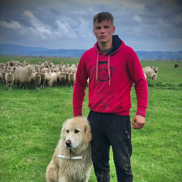 Ovidiu