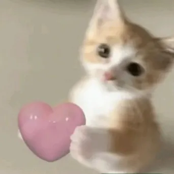 ⭐