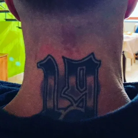 Domenico della gatta