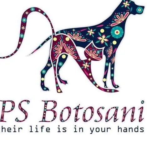 PsBotosani