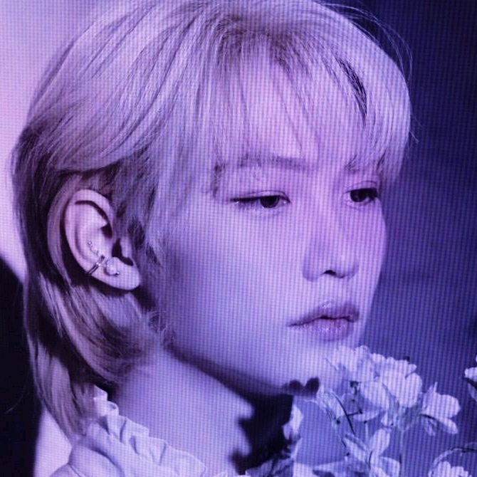 Kpop4lifer