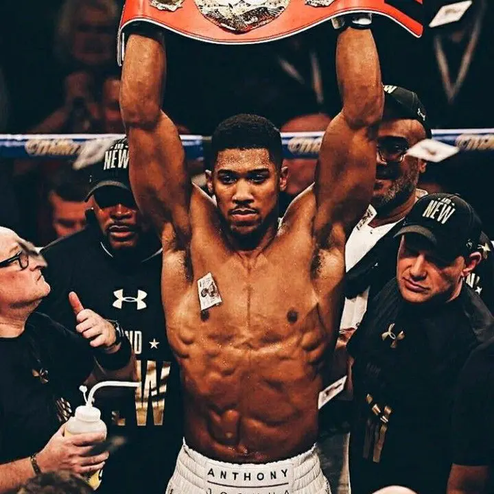 🥇professional boxing 23