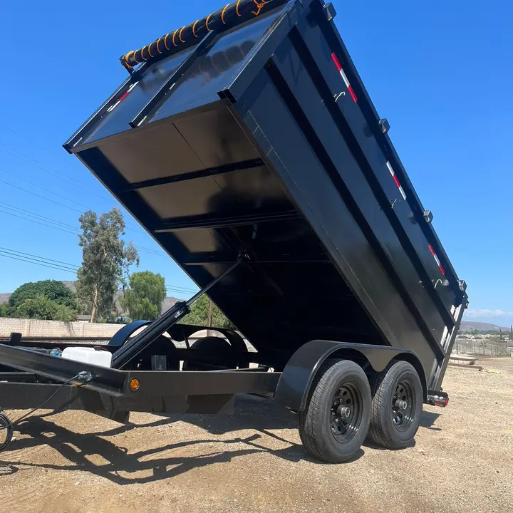 LION TRAILERS #1