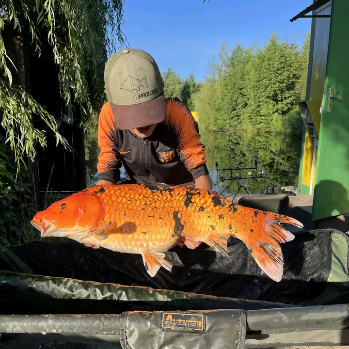 🎣 Korek 🎣 Fishing 🎣