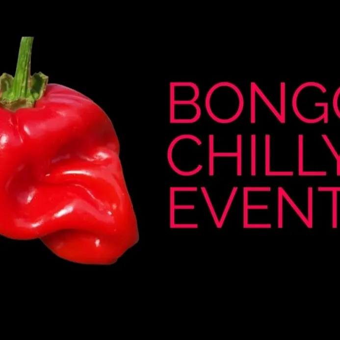 Bongo Chilly Events