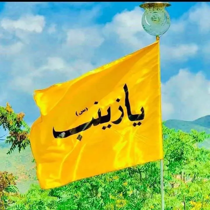🦋🏴Ali Haider Khan🚩🦋