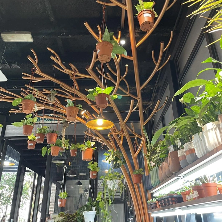 Pulpy Garden