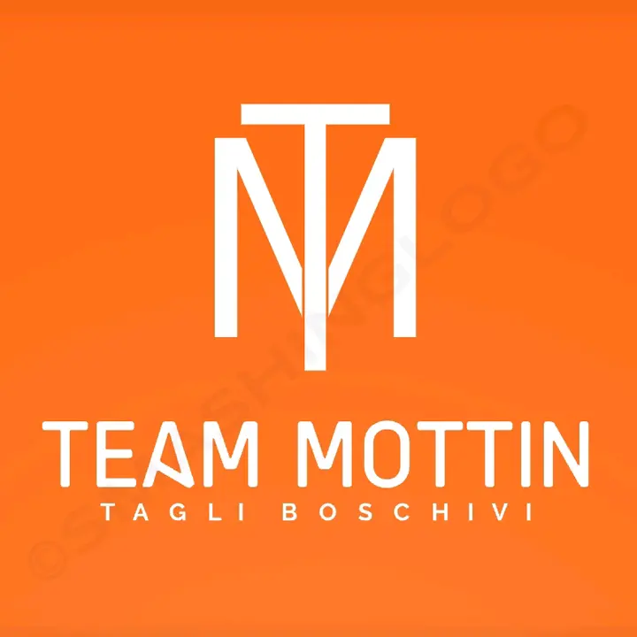 team mottin