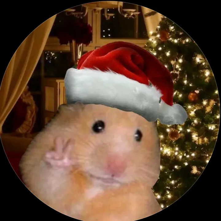 _.xchristmassx._