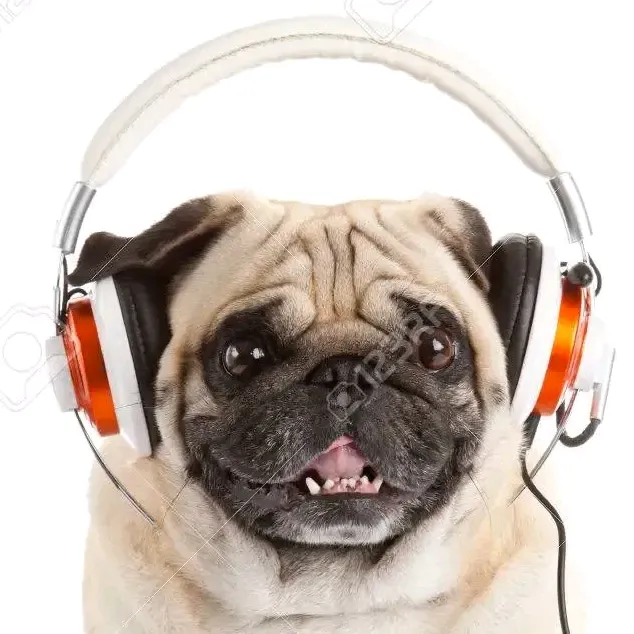 Starkeypugmusic
