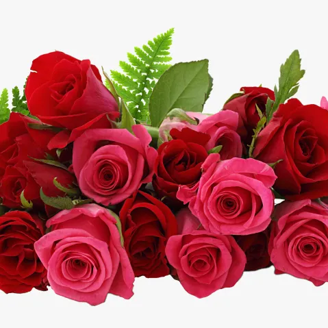 ❤️𝕊ℍ𝔸𝕄𝕊𝔼𝔼ℝ🌹2025❤️