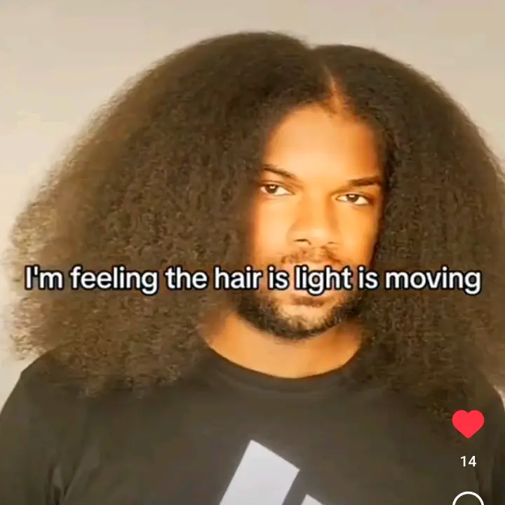 Vine & Branches Hair Care