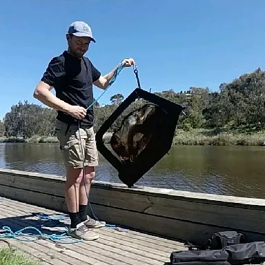 Tc