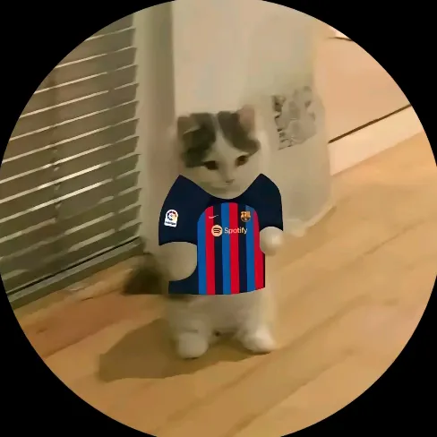 ZozoLeBest22