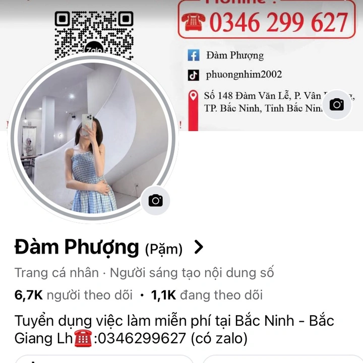 Phượng nhím-tuyển dụng