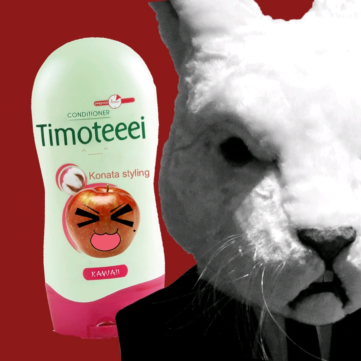 Timoteeei