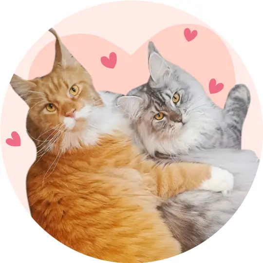 Mango&Hera