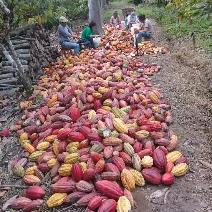 Agro Sin Fronteras