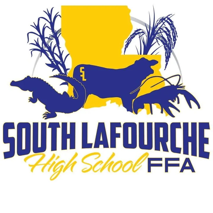 SL FFA
