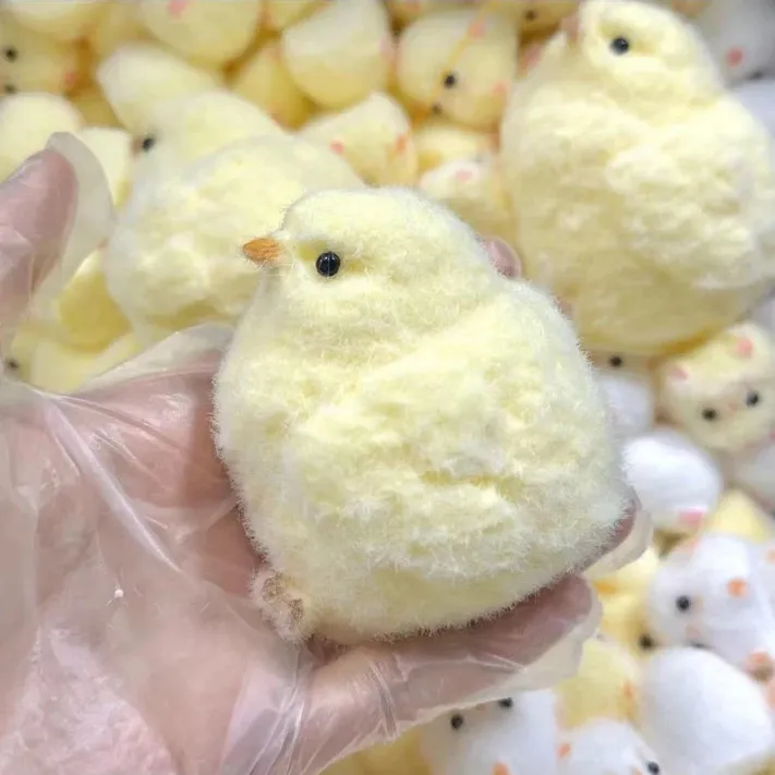Dudusquishy