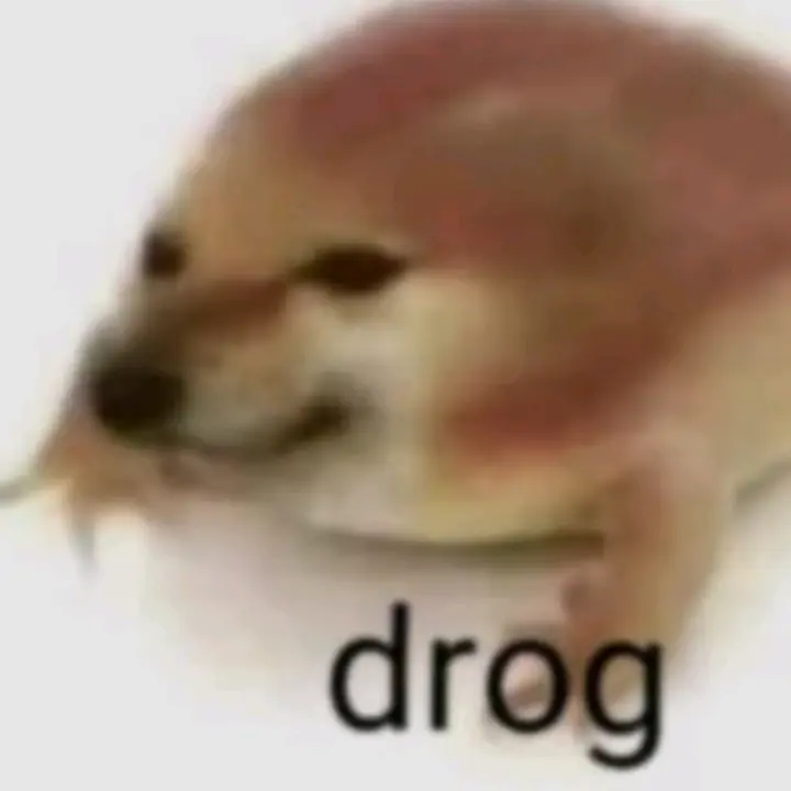 Х_Х