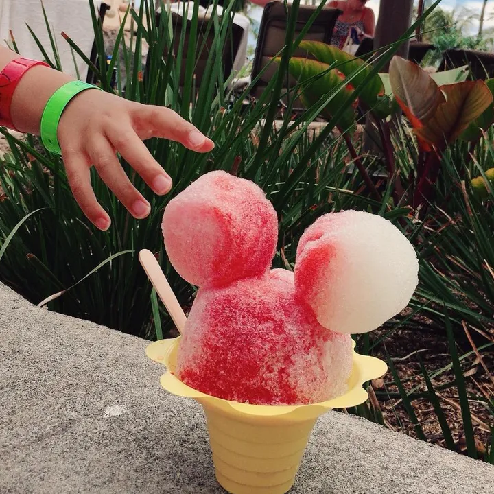 Wife's Cooking🇯🇵おしゅんの妻ご飯🍙