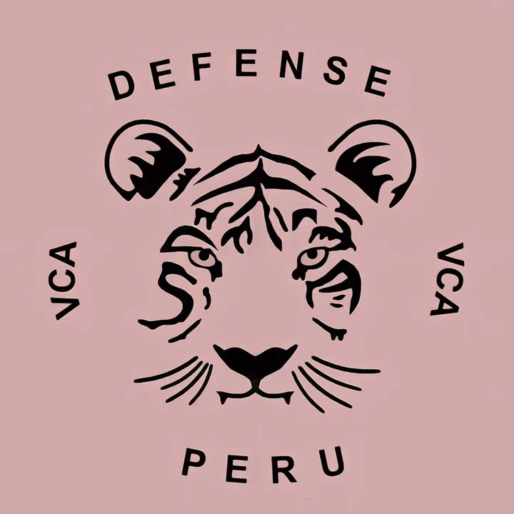 defense.peru