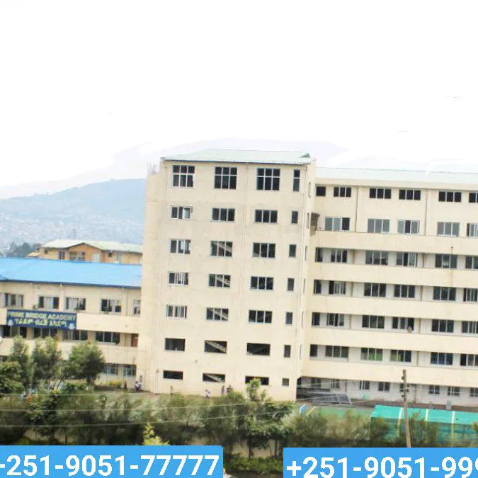 Prime Bridge Academy