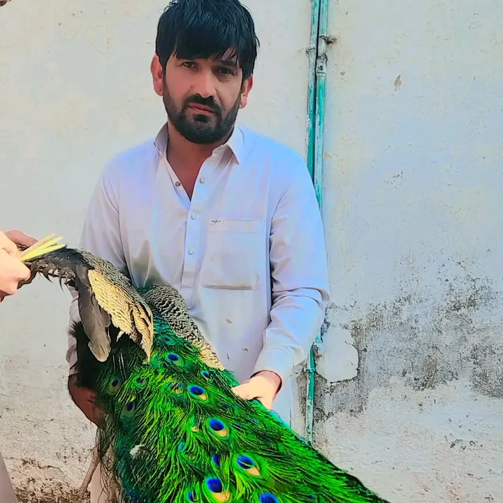 shahid khan
