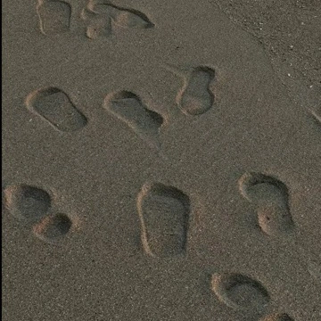 nirmalaa
