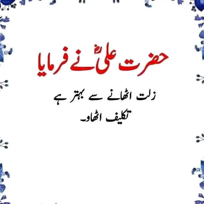 𝑾𝑨𝑸𝑨𝑺 Hazarvi
