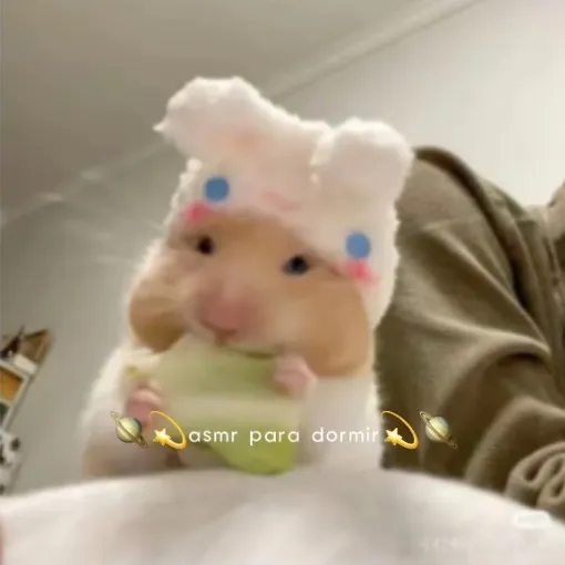 ASMR🐈🎀