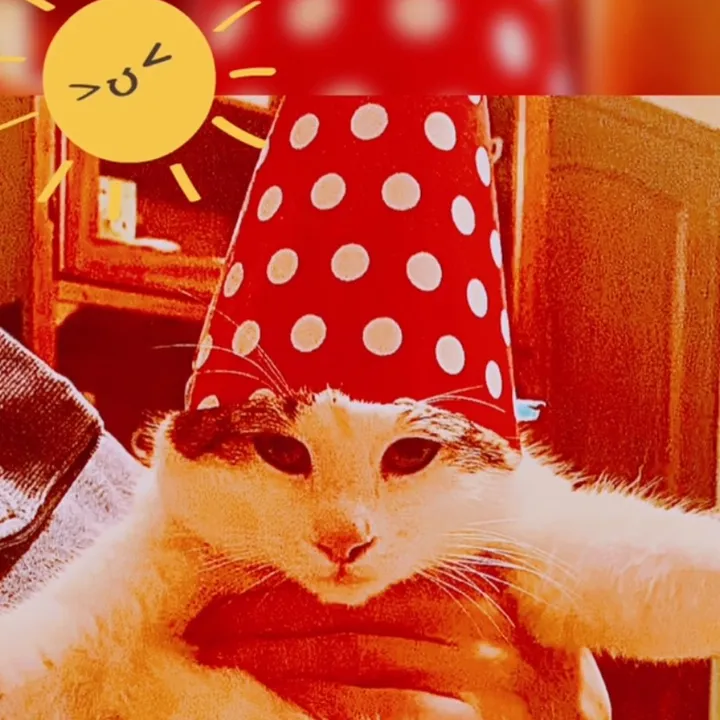 Филя😻 Барсик😻.