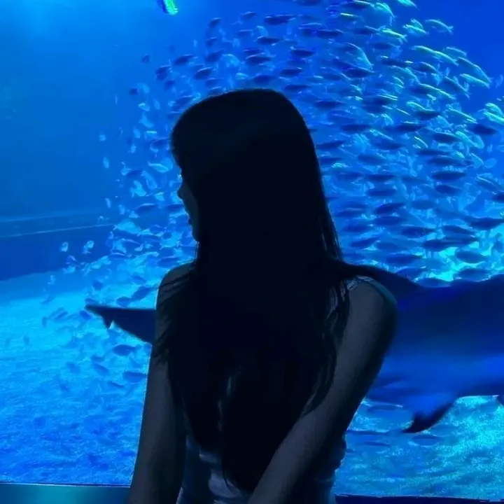 🐋✶ ۫ 𝖮𝖼𝖾𝖺𝗇 hse
