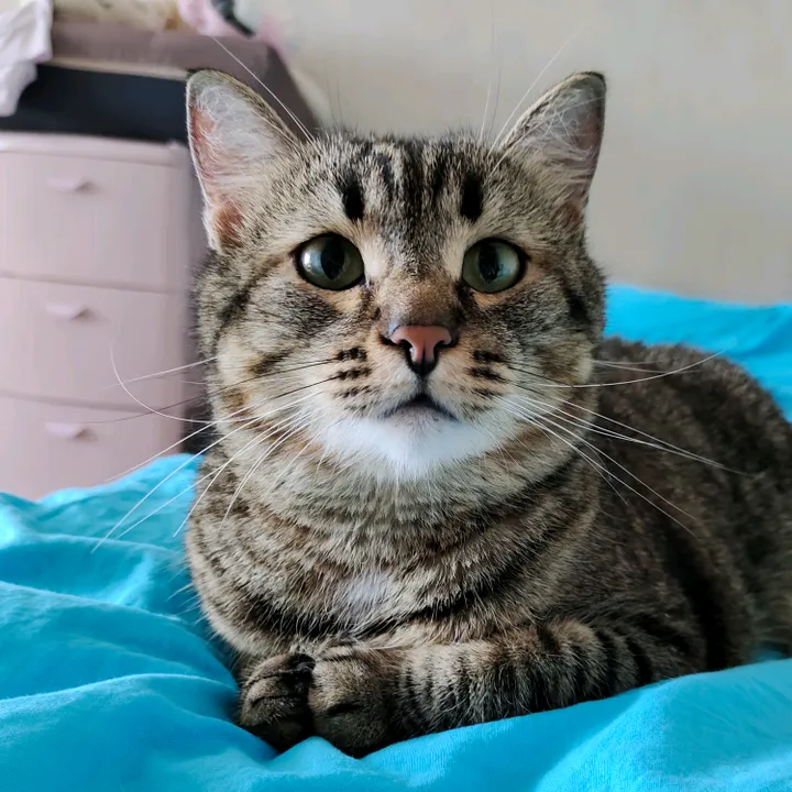 just zosya, you know