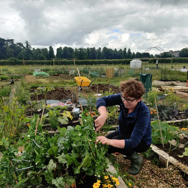 michelle_l_gardener