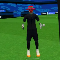 BACHIRA.VRFS2