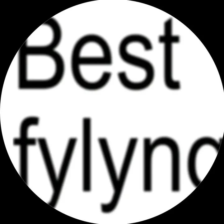 😼BEST FYLING 😼