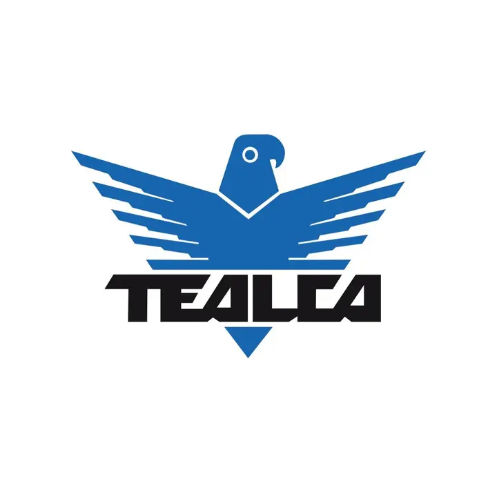 Tealca Miami