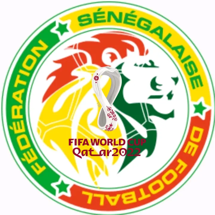 🇸🇳#FREESENEGAL🇸🇳