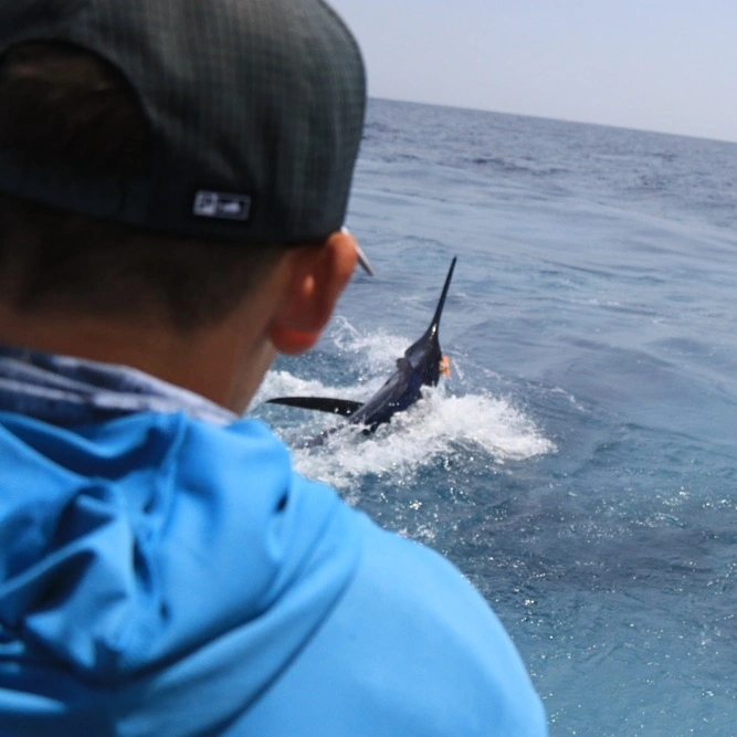 flynjackfishing